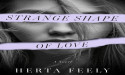 Castle Bridge Media Announces September 2025 Launch of Strange Shape of Love