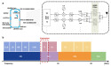High-frequency and low-cost: the future of 6G filters on silicon