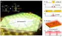 Next-Gen Display Tech: Boosting 2D Emission with Plasmonic Metasurfaces