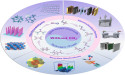 From Molecules to Megawatts: Green Electrocatalysis for a Sustainable Future