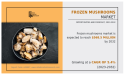  Frozen Mushrooms Market Supported by a CAGR of 5.4% by 2032 | Okechamp, Beatnic, Costa Group, Denis Vidmar 