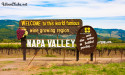  WineClubs.net Expands Beyond Wine Clubs to Launch Global Winery Tour Experiences 