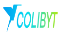 La revolución digital llega desde India Colibyt abre oficinas en Latinoamérica y lanza ofertas únicas para empresas