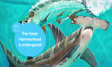Guy Harvey Foundation and Texas A&M-Corpus Christi’s Harte Research Institute Launch Educational Programming in Texas