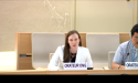 Azerbaijan shows ‘flagrant disregard’ for international law, CSI tells UN