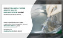 Transcatheter Aortic Valve Implantation (TAVI) Market Set to Quadruple to $16.9 Billion by 2030
