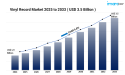  Vinyl Record Market Forecast 2025 - 2033: Opportunities for Retailers and Manufacturers 