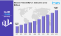 Mexico Fintech Market 2025 Edition Size, Growth, Trends & Report 2033