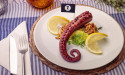 The world´s first vegan octopus tentacle made from mycoprotein: THE KRAKEN
