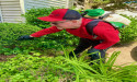Consumers Increasingly Search 'Pest Control Near Me' — Turning to Family-Owned Local Pest and Termite Experts