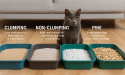 Cat Litter Market Estimated $13.7 Billion Growth by 2035, Expanding at 4.7% Annually