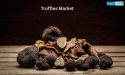 Truffles Market Set to Surge at 9.2% CAGR, to Reach US$ 1,014 Million by 2035: Fact.MR Report