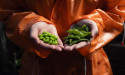 Brightplus raises EUR 2 million to scale breakthrough textile coating innovation