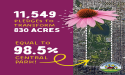 Over 36 Million Square Feet of Lawn Replaced in Second Annual 'Reduce Your Lawn Day'