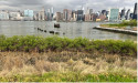  Frank Ottomanelli to host celebration for Hunters Point South Park Urban Land Institutes 2025 Award for excellence 
