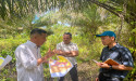 REA Empowers 600+ Smallholders in Indonesian Borneo for EUDR Compliance and RSPO Certification with KOLTIVA