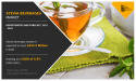 Stevia Beverages Market Outlook, Size, Growth Factors and Industry Forecast 2031