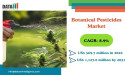 Botanical Pesticides Market to Reach $1.1B by 2031, Driven by Organic Farming & Eco-Friendly Trends | DataM Intelligence