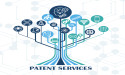 Patent Services USA Launches Comprehensive Patent Search Solutions to Safeguard Digital Innovation
