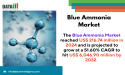  Blue Ammonia Market Booms Amid Rising Hydrogen Demand, Global Decarbonization & Clean Fuel Policies| DataMIntelligence 