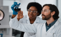  BioBlack Blends Platform Opens New Markets for Bio-Based Pigments & Dispersions 