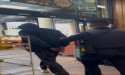 Peralta Associates and Defense Assist Oakland PD in Arrest of Serial Shoplifters at Farmer Markets 