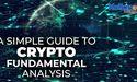 A Simple Guide to Crypto Fundamental Analysis