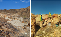 Arcadia Minerals (ASX: AM7, FRA: 8OH) reports additional mineralised pegmatites near Swanson