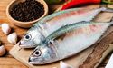  A Glance Through Recent Updates of Seafood Stocks – AS1 and TGR 