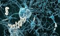 Actinogen Medical receives final consent to continue XanADu Phase II trial without change