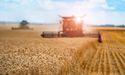 How Is ADM Advancing Sustainability Through Strategic Alliances?
