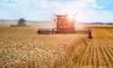 Ceres Global Ag Reports Full Year 2024 Earnings With EPS of US$0.30
