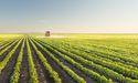  Brazil's Sugar Production Boosts Global Supply 