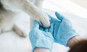  CSL & Pro Medicus: Healthcare Stocks in Focus Now 