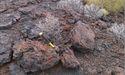  Black Canyon (ASX: BCA) reports high-grade manganese mineralisation at Wandanya tenement 