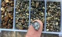  Battery Minerals Limited Releases its Paydirt’s Battery Minerals Conference for March 2019 