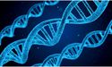 BGT Expanding Research Program For Qcide