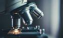 Could Market Trends Be Signaling Trouble for Xenon Pharmaceuticals?