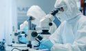  Is Algorae Pharma (ASX:1AI) shaping All Ords biotech focus? 