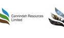  Cannindah Resources (ASX:CAE) Appoints Cameron Switzer as Managing Director and CEO 