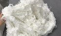 Nanollose Updates On Second Pilot Production Of Nullarbor™ Fibre For Nonwoven Applications