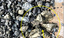  Latest drilling extends Cu-Au mineralisation at Cooper Metals (ASX: CPM) Raven prospect 