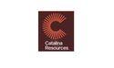  Catalina Resources (ASX:CTN) Unlocks Gold Potential with High-Grade Hits and Strategic Acquisitions 