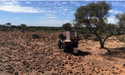  Catalina Resources (ASX: CTN) unearths gold and REE at Laverton Project 