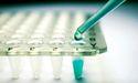 Cynata Therapeutics Limited Releases Its Preclinical Study Outcome