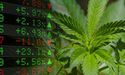 ASX Cannabis Space - A Favorite In Non-Resources