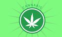  AusCann Joint Venture Starts First Cultivation Activity: What Market Players Need to Know 