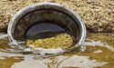  RC Drilling At The Capstan Prospect Led To The Discovery Of 4m @ 6.1g/t Gold 