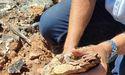  Vertex Minerals Limited (ASX:VTX) finds pegmatites at Taylor Rock; shares surge 4% 