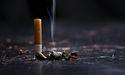  FTSE 100 Tobacco Sector Tracks Movement as British American Tobacco Gains Institutional Attention 